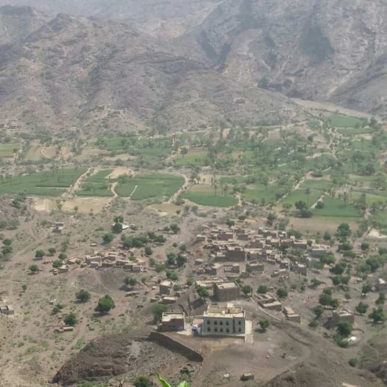 لحج.. شاب يلقي ثلاث قنابل على منزله ويقتل زوجته وابنه ويصيب والديه