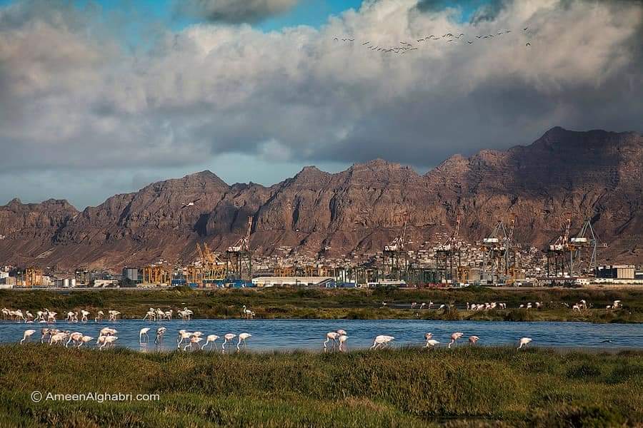 عدن.. عناصر الحزام الأمني يطلقون النار على طائرة مسيرة حلقت فوق معسكرهم بمدينة الشعب
