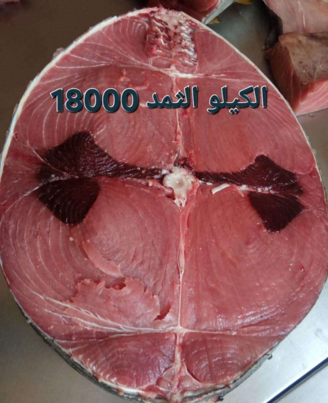 عدن.. أسعار الأسماك تبلغ رقما غير مسبوق وسط مطالبات بتحرك الجهات الحكومية