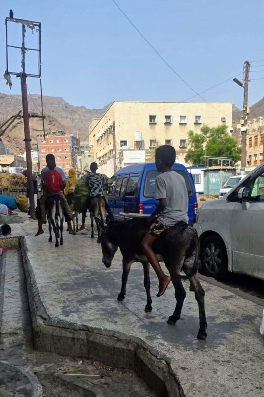 في ظل أزمة الغاز وشح المواصلات عدن تعود للعصور البدائية
